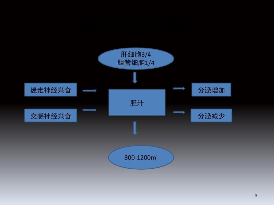 胆囊及胆管解剖课堂PPT_第5页