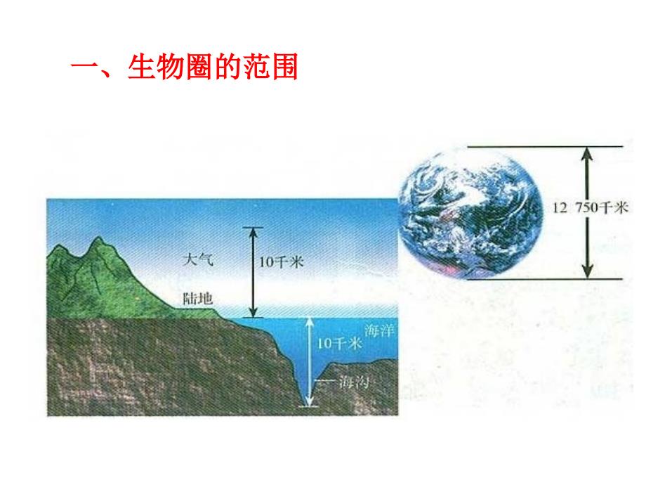 录像课生物圈是最大的生态系统课件_第3页