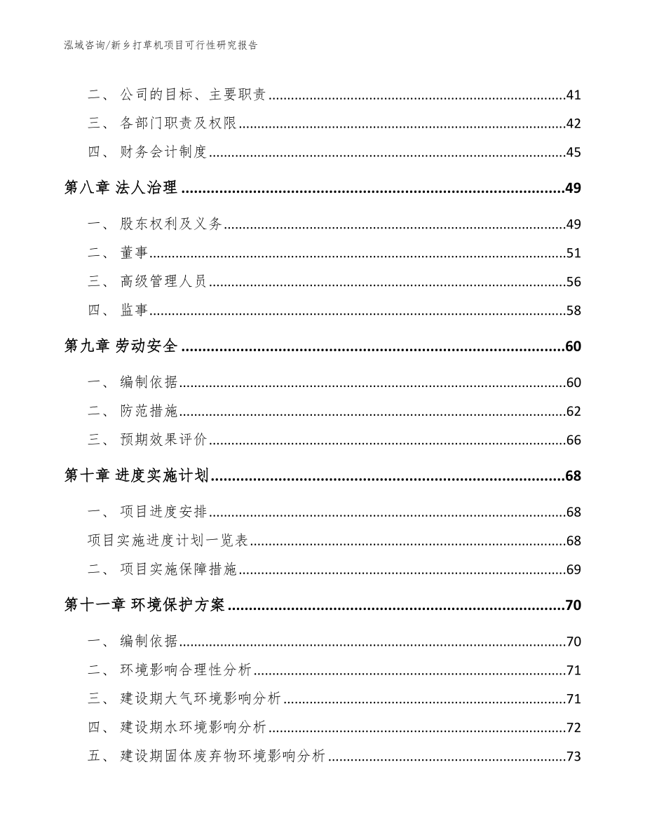 新乡打草机项目可行性研究报告_第4页