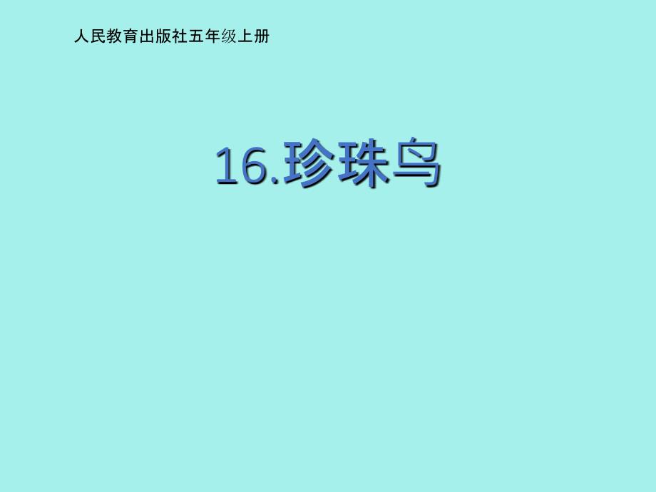 人教版语文五年级上册16课珍珠鸟完美版_第1页