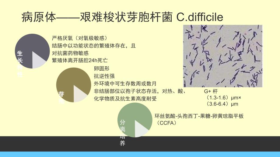 艰难梭菌感染_第3页