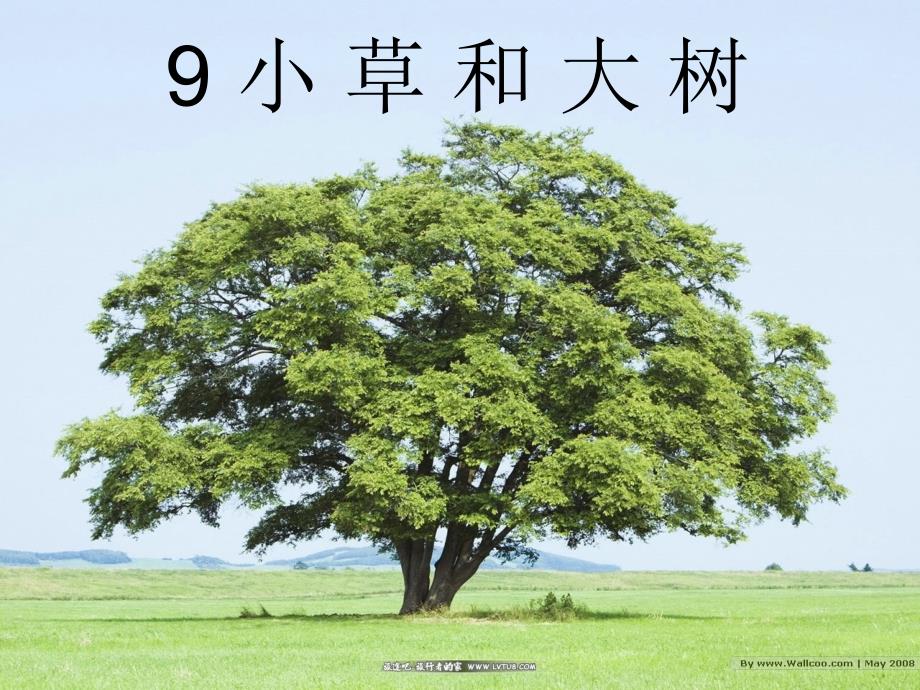 9、小草和大树_第1页