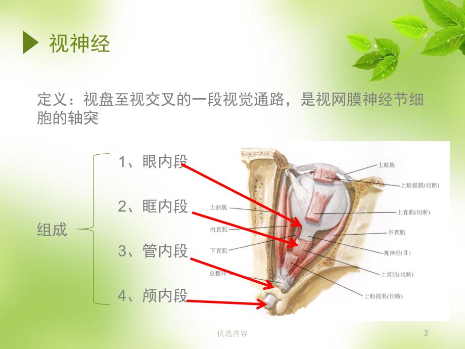 视神经萎缩伤残鉴定参考材料_第2页