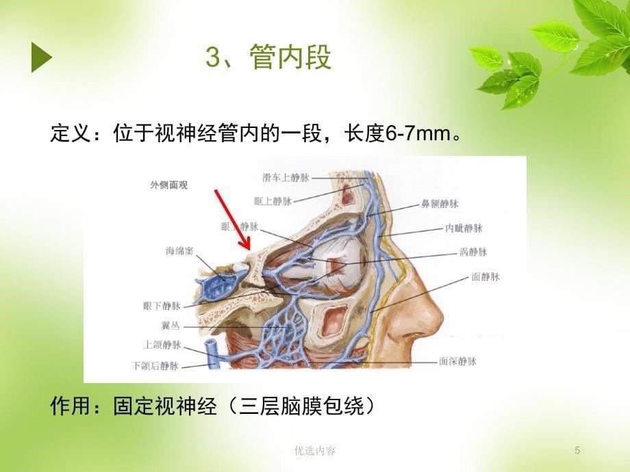 视神经萎缩伤残鉴定参考材料_第5页