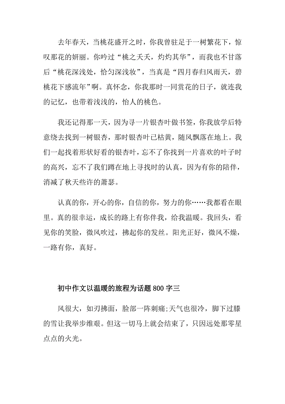 以温暖的旅程为话题初中作文800字五篇_第4页