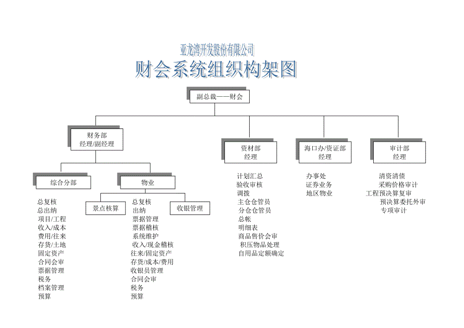 某公司财务会计系统组织架构及岗位职责_第1页