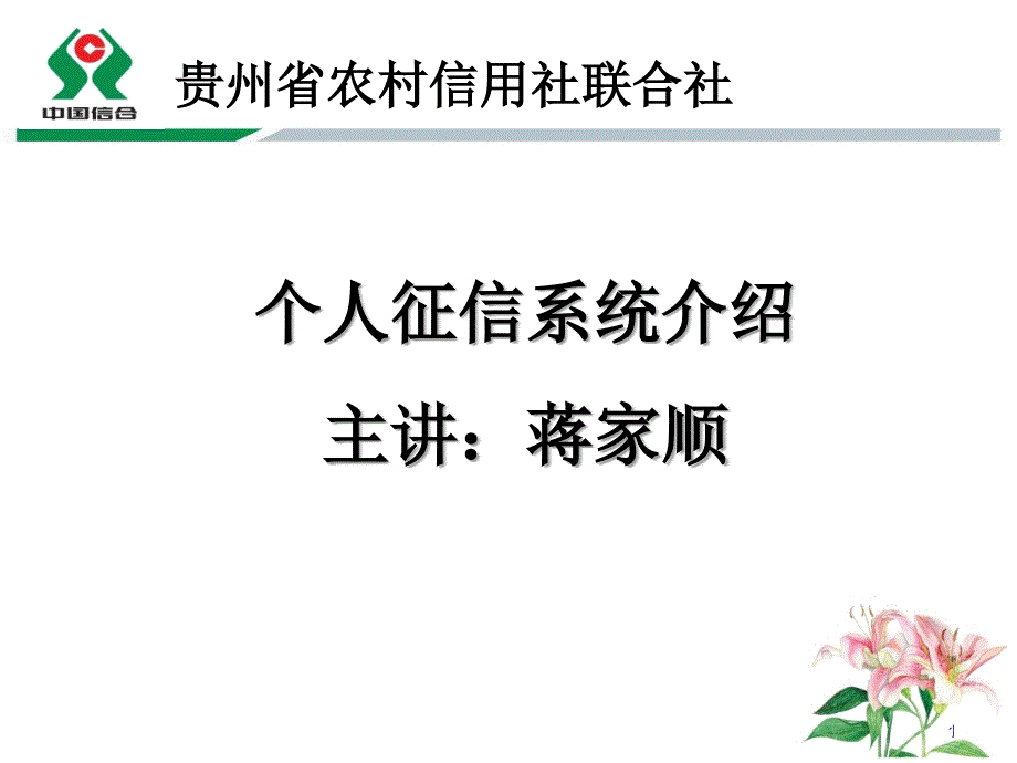 1[1].个人征信简介_第1页