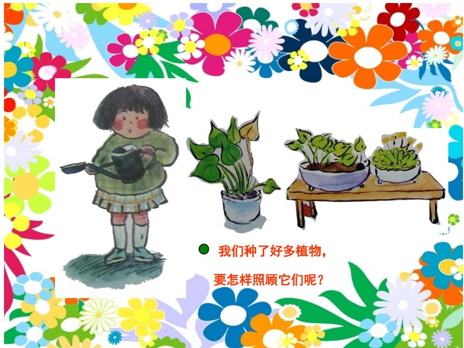 幼儿园大班课件我会照顾植物_第2页