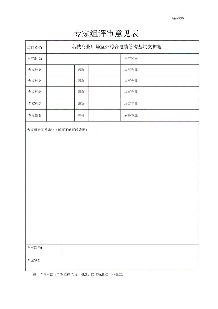 专家组评审意见表_第1页