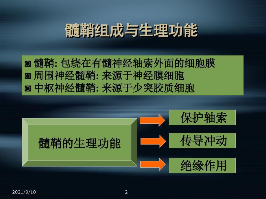 脱髓鞘疾病与多发性硬化讲义_第2页