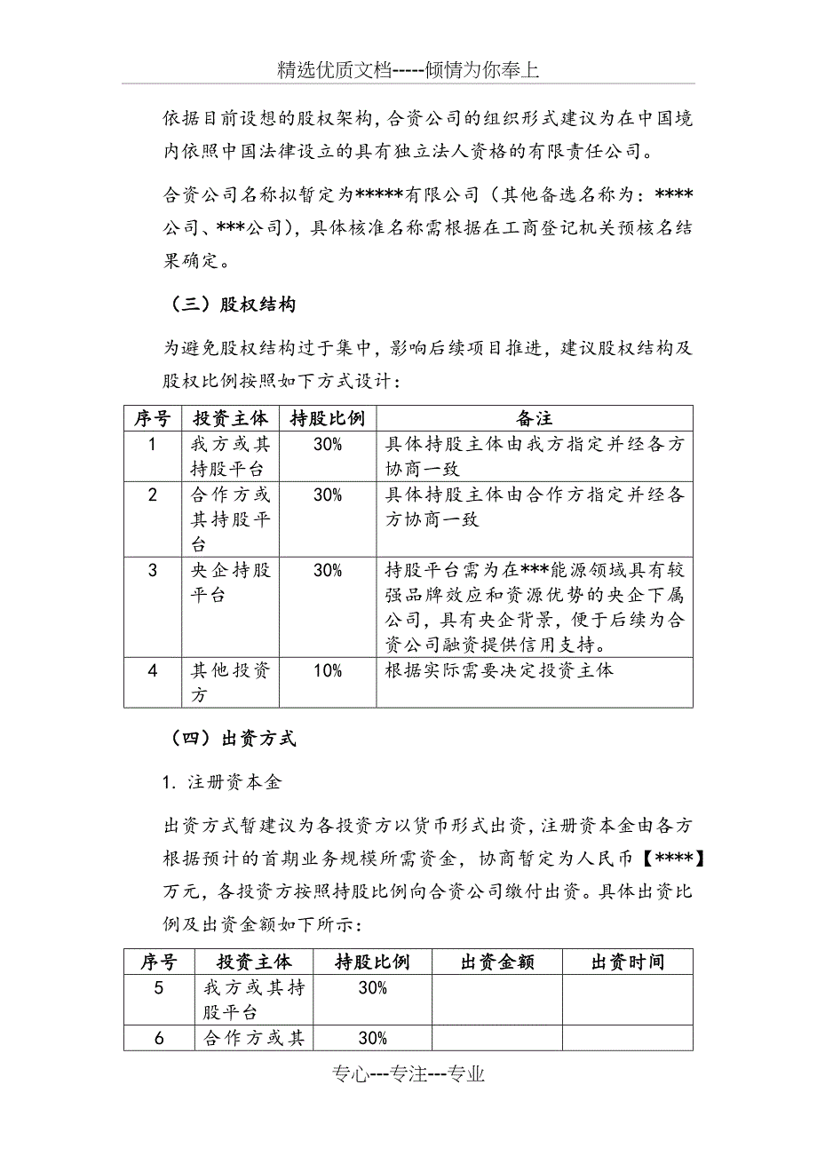 合资公司设立方案范本_第4页