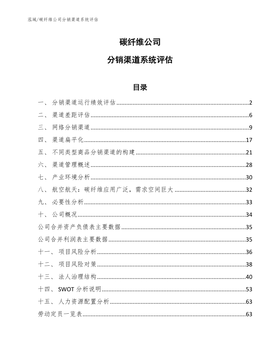 碳纤维公司分销渠道系统评估_第1页