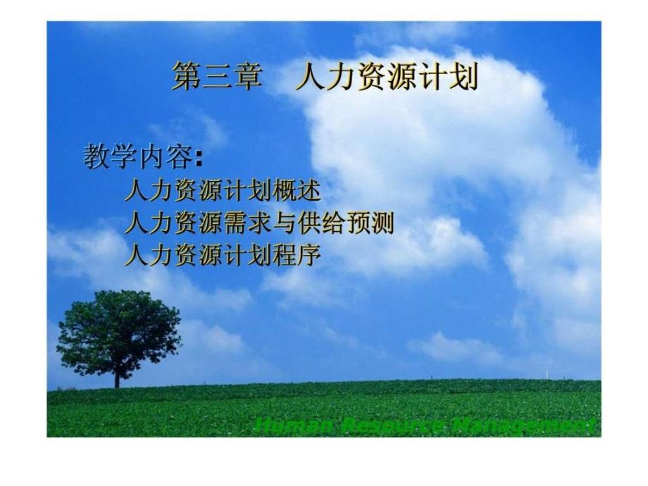 《人力资源管理》ppt课件 -第三章-人力资源计划6名师教学资料_第2页