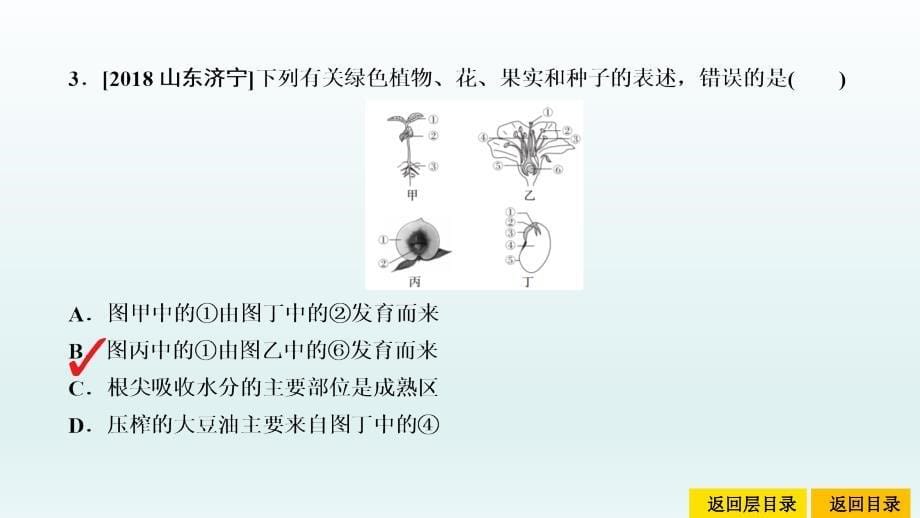 中考命题15-开花和结果-作业ppt课件-2021届中考生物复习_第5页