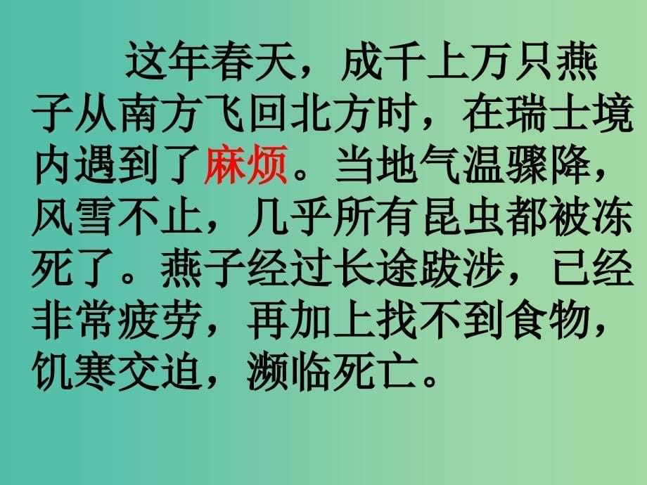 三年级语文上册燕子专列课件5沪教版_第5页