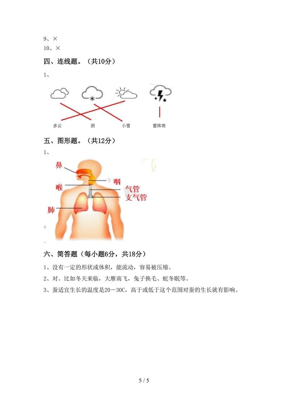 教科版三年级科学下册期中测试卷及完整答案.doc_第5页