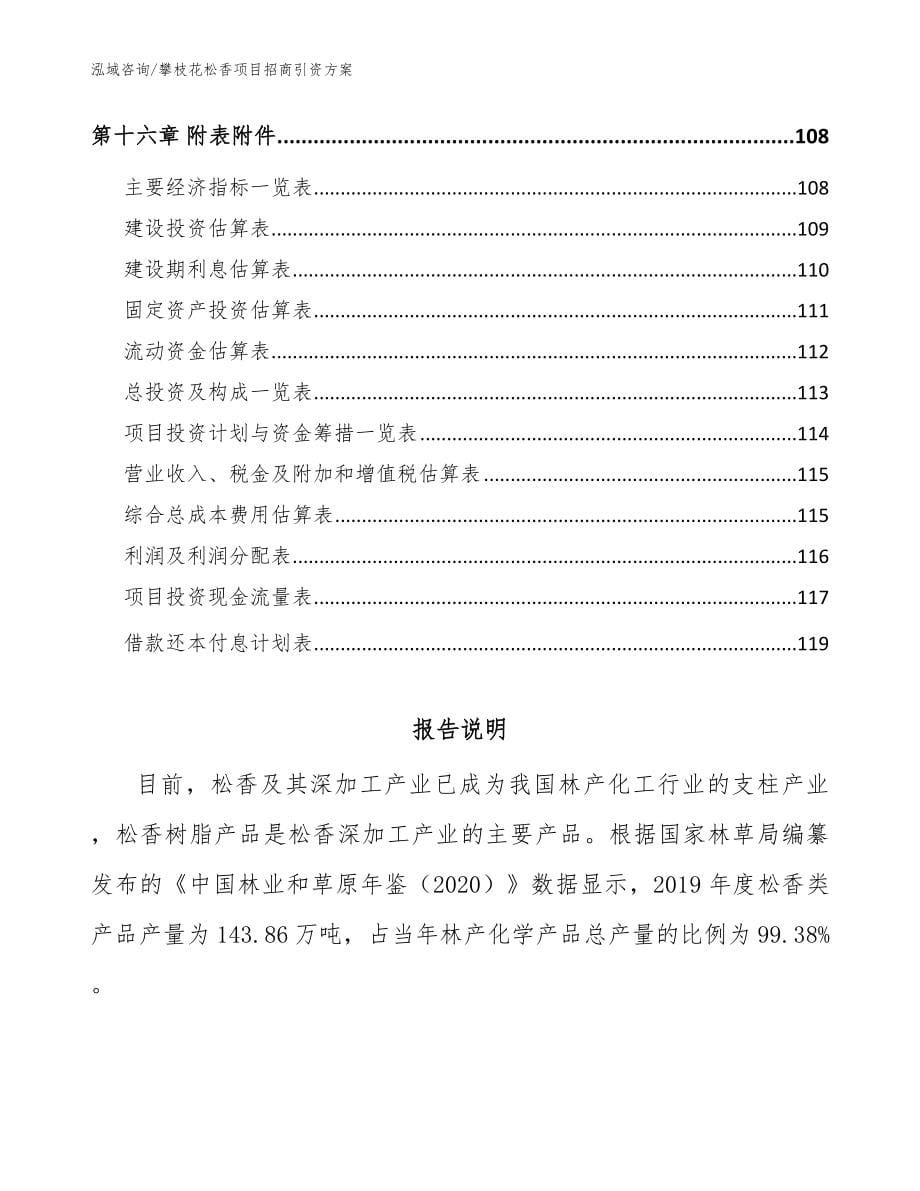 攀枝花松香项目招商引资方案模板范文_第5页