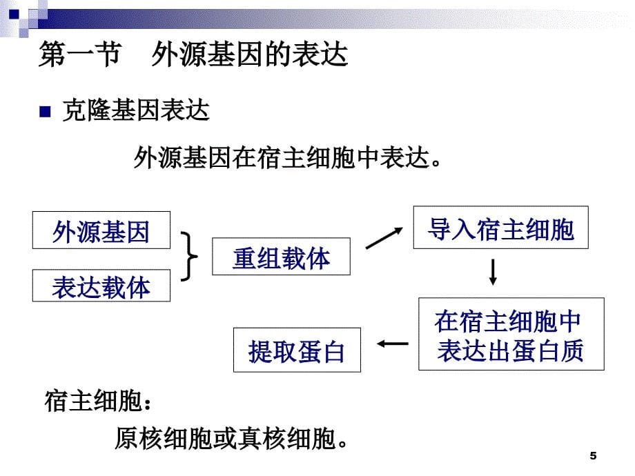 克隆基因表达及基因干扰修_第5页