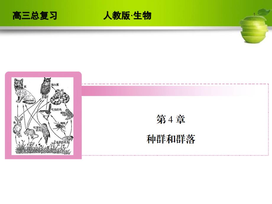 高考生物一轮复习（人教版）精品课件3-4-1.2_第2页