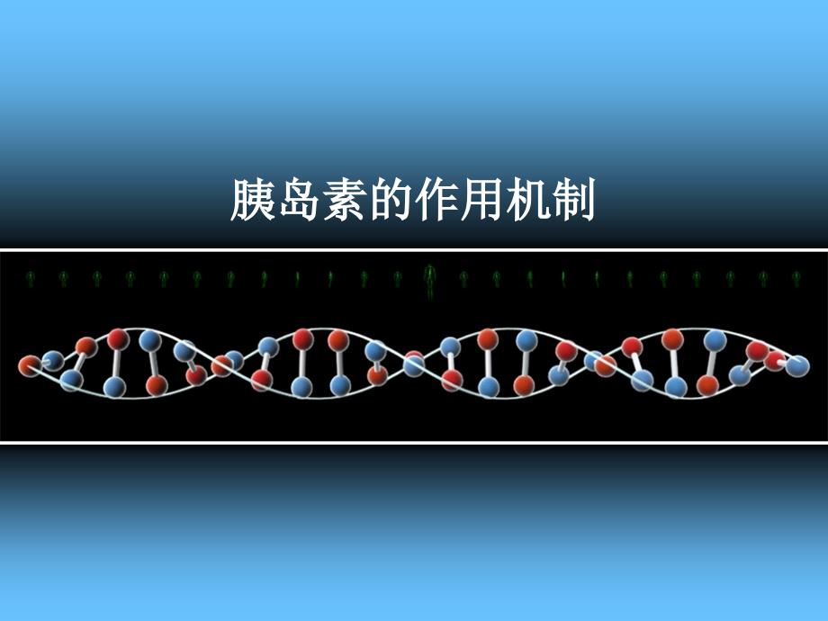 胰岛素作用机制_第1页