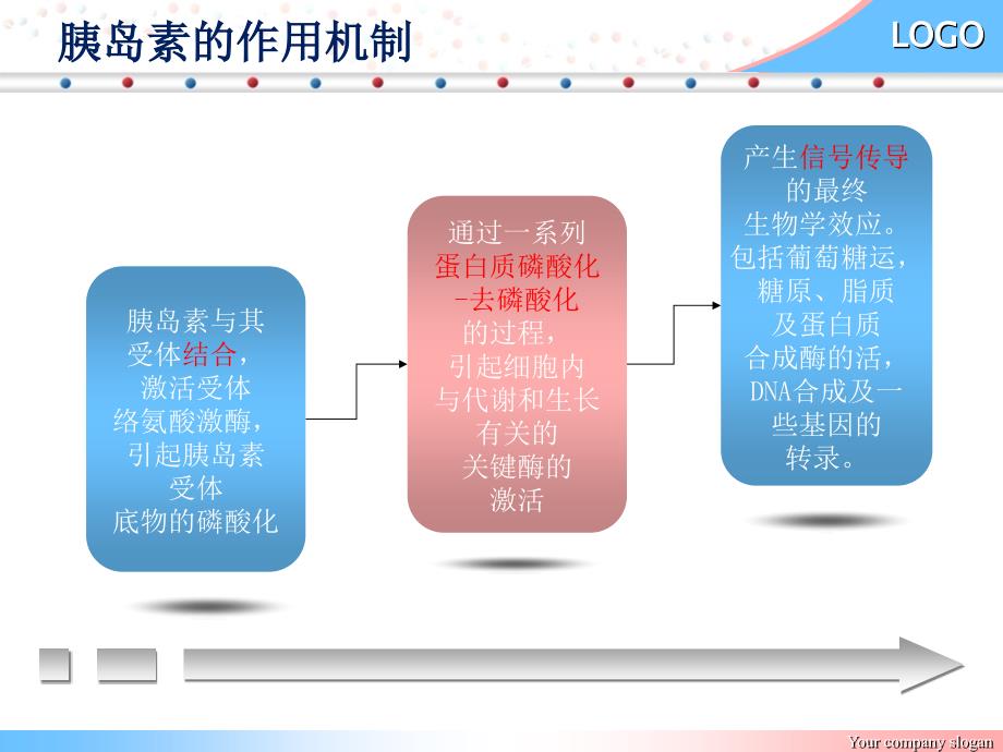 胰岛素作用机制_第2页