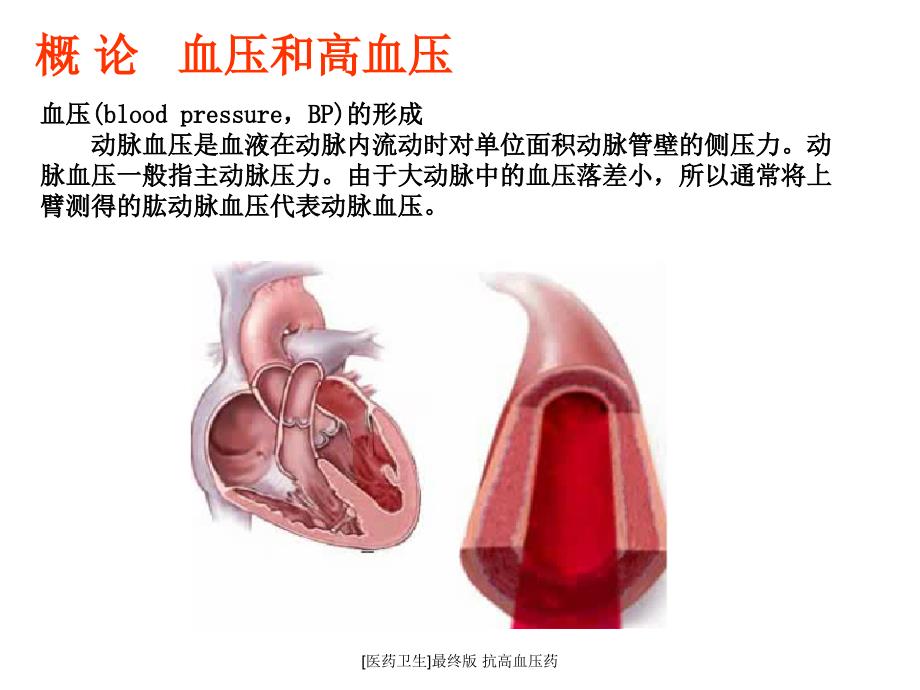 医药卫生最终版抗高血压药课件_第3页