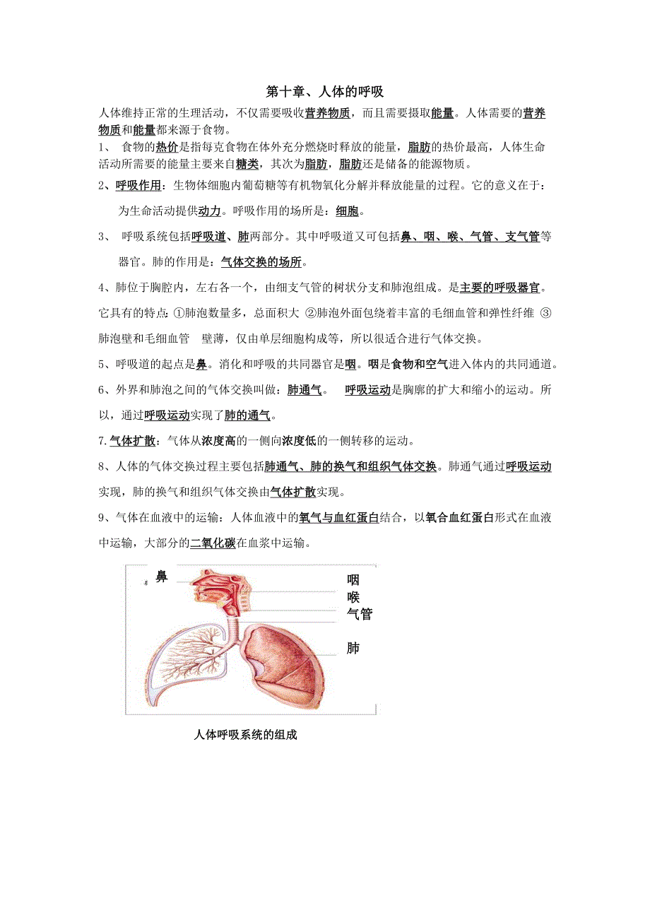 第十章、人体的呼吸知识点_第1页