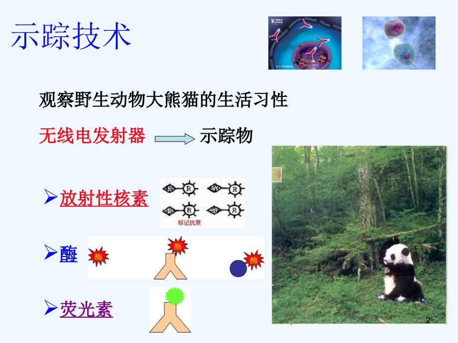 核医学第4章放射性核素标记化合物_第2页