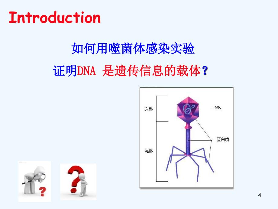 核医学第4章放射性核素标记化合物_第4页