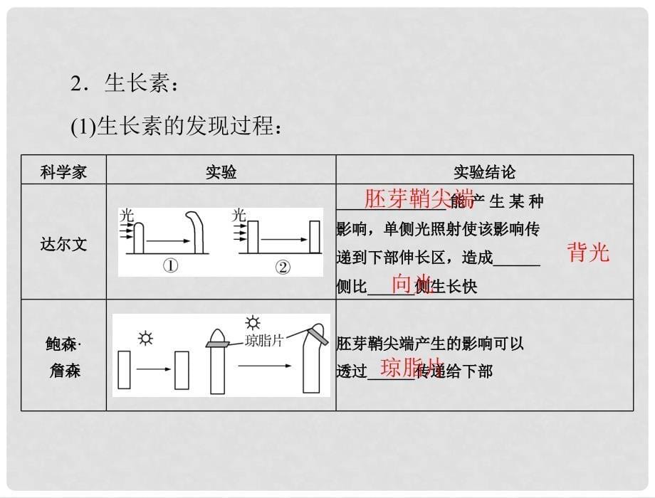 高考生物总复习 第3章 植物的激素调节 第1节 植物生长素的发现 第2节 生长素的生理作用 第3节 其他植物激素课件 新人教版必修3_第5页