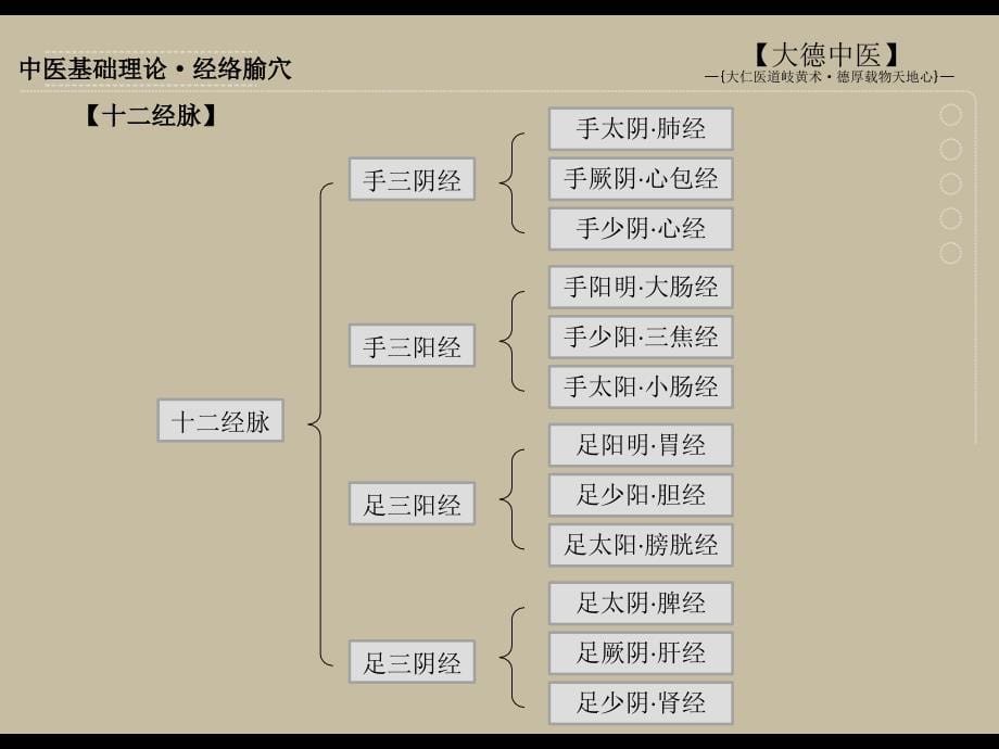 中医基础理论经络腧穴学-乌扎拉柳菲_第5页