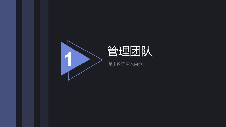 项目商业运作计划书模板ppt_第3页