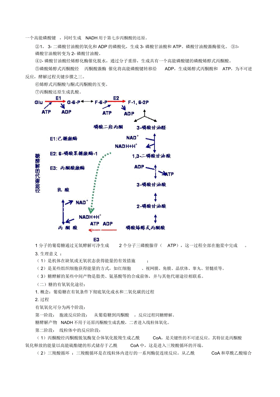 糖代谢紊乱及糖尿病的检查_第2页