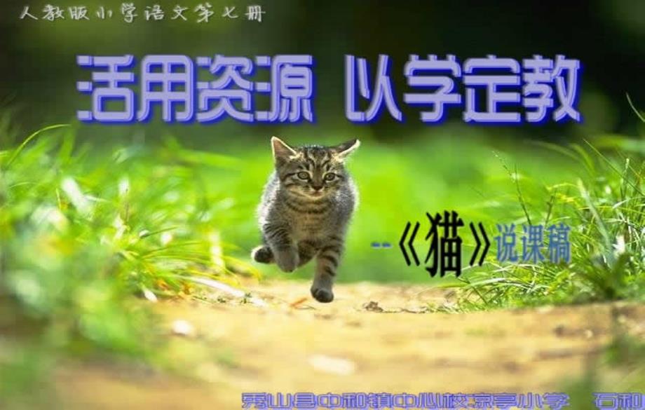 猫说课稿设计PPT石和_第1页