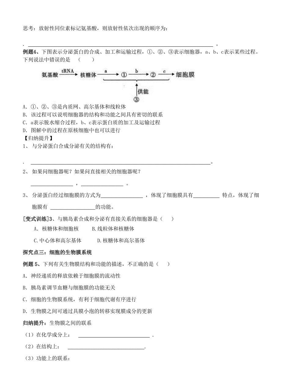 【导与练】2015届高三生物一轮复习学案：第5讲 系统内的分工合作—细胞器.doc_第5页