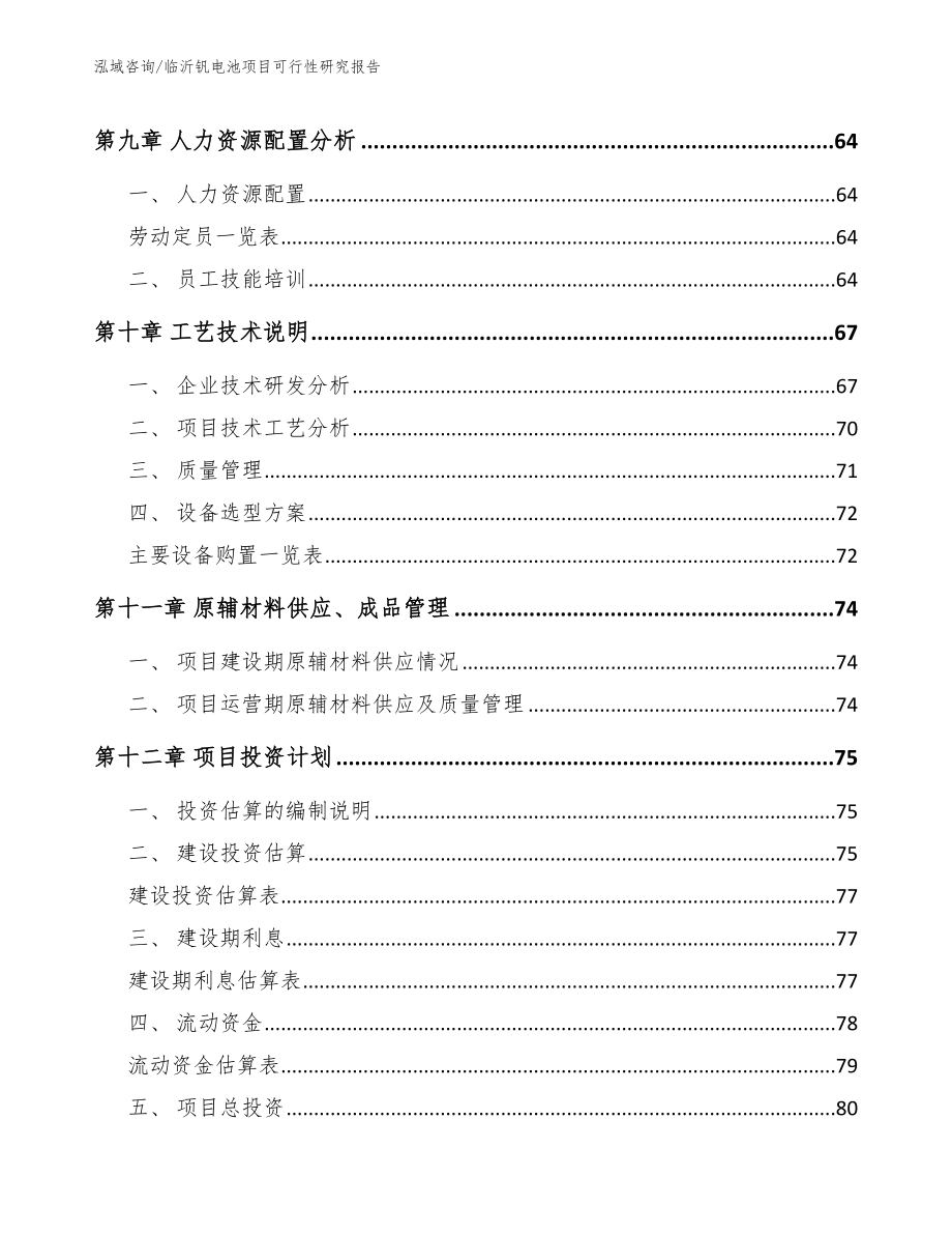 临沂钒电池项目可行性研究报告【范文参考】_第3页