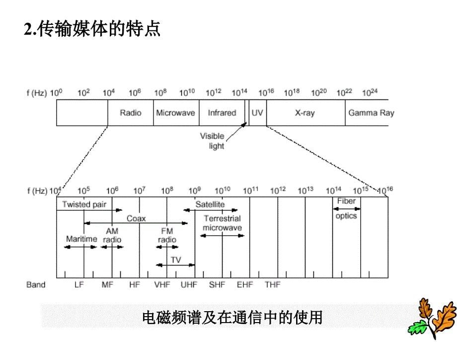 物理层传输媒体与拓扑结构课件_第5页