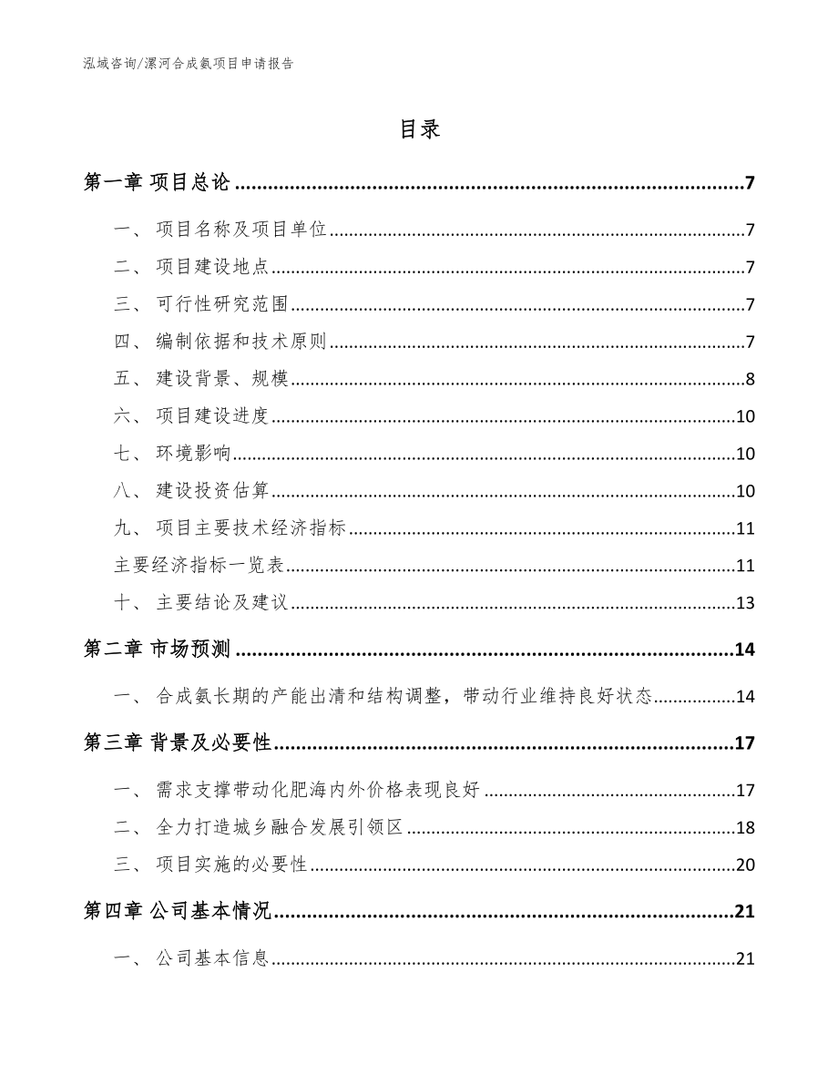 漯河合成氨项目申请报告（参考范文）_第1页