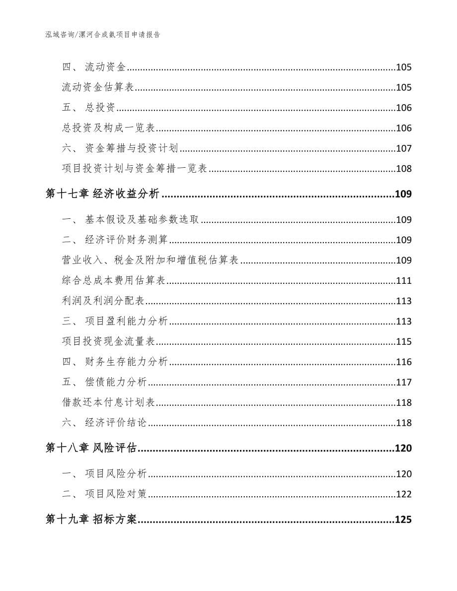 漯河合成氨项目申请报告（参考范文）_第5页