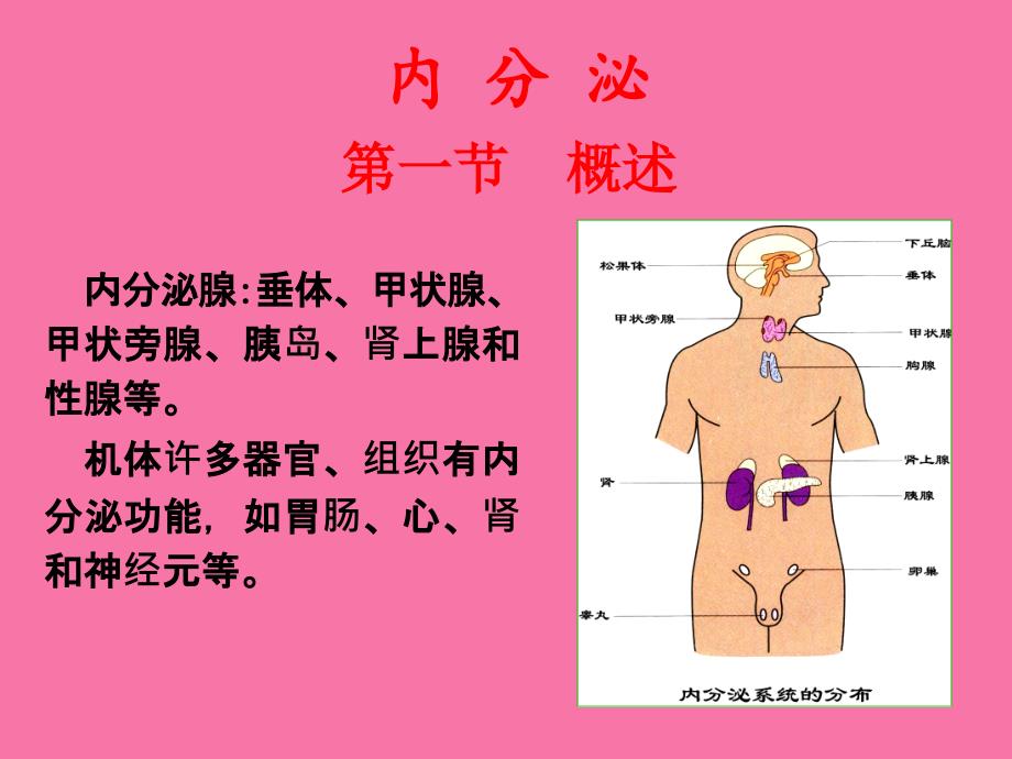 生理学内分泌1生理学内分泌1ppt课件_第1页