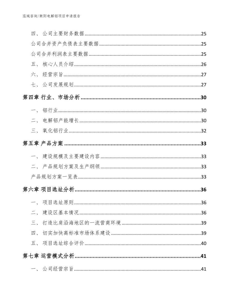 衡阳电解铝项目申请报告（模板）_第3页