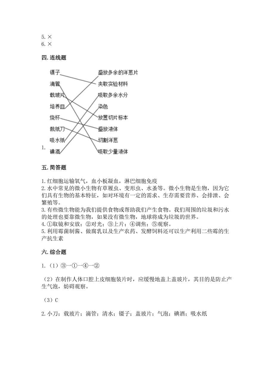 教科版科学一年级上册第二单元《比较与测量》测试卷【精练】.docx_第5页