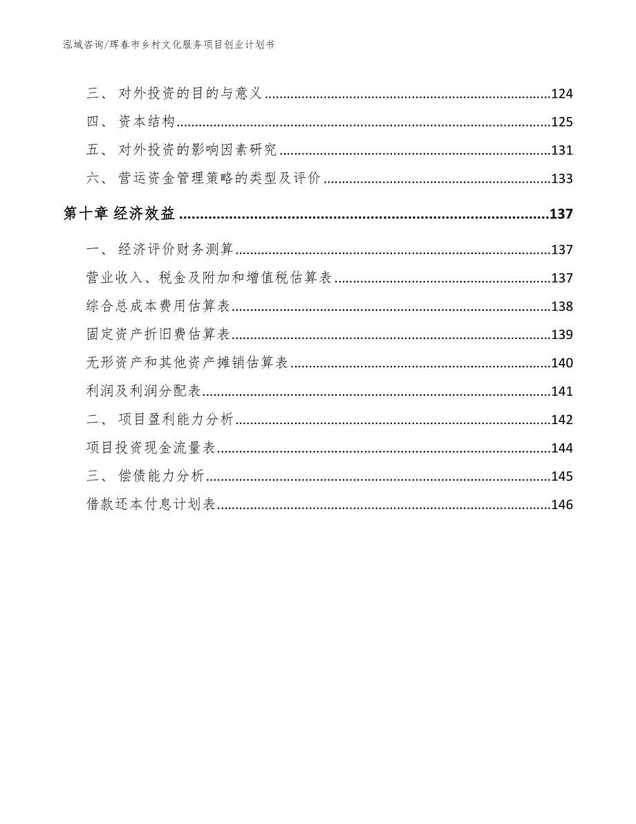 珲春市乡村文化服务项目创业计划书_第5页