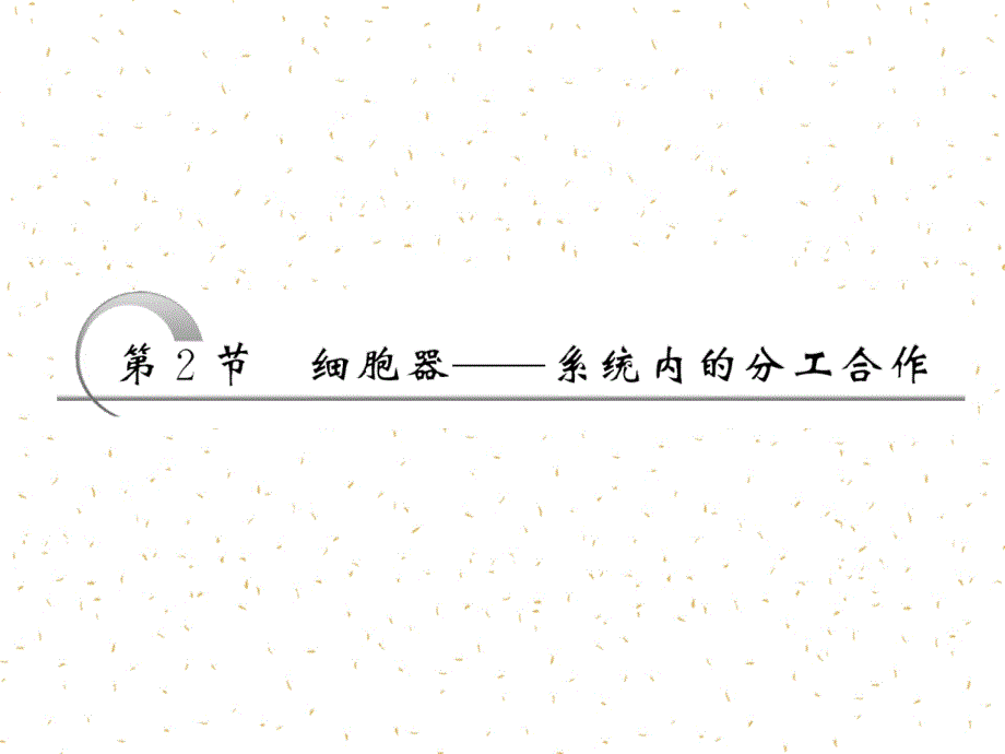 必修一第三章第2节细胞器系统内的分工合作_第2页