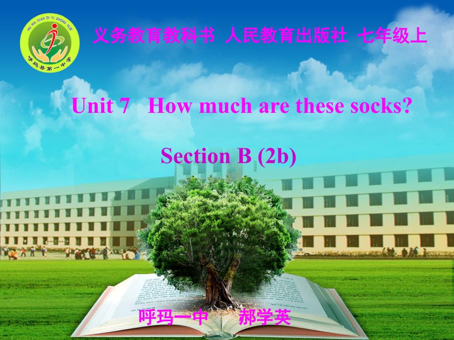 郝学英Howmucharethesesocks课件_第1页