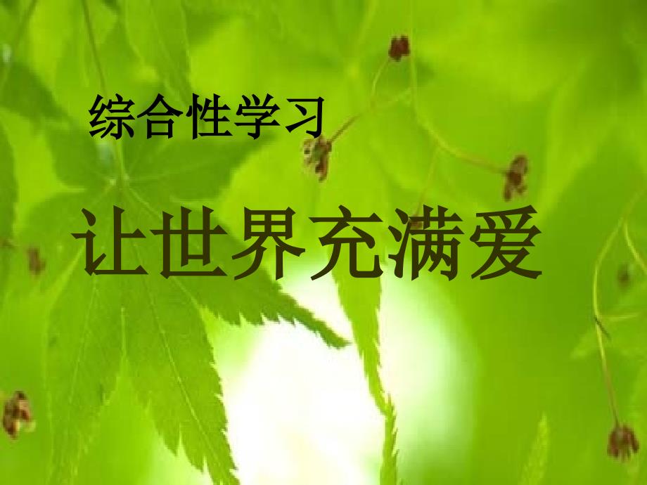 让世界充满爱——综合性学习_第1页