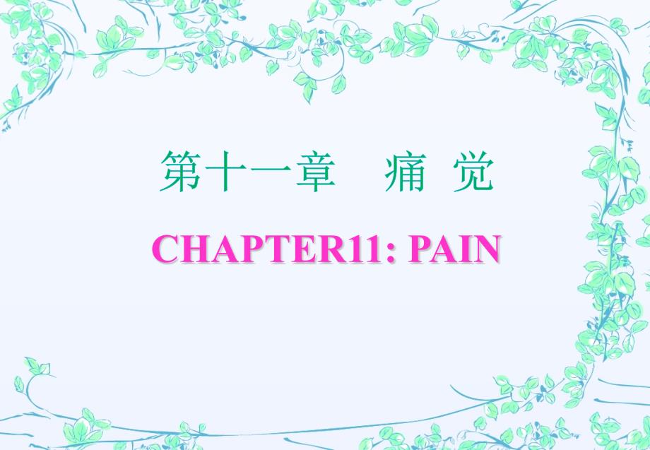 第十一章-痛觉课件_第1页