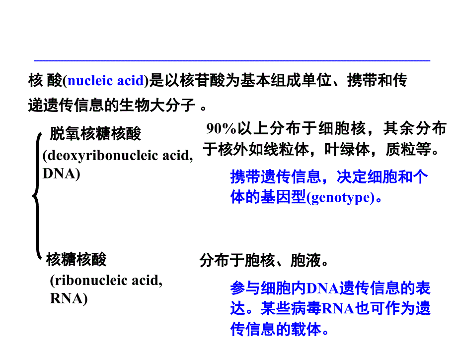 生物化学：第2章 核酸的结构与功能_第3页