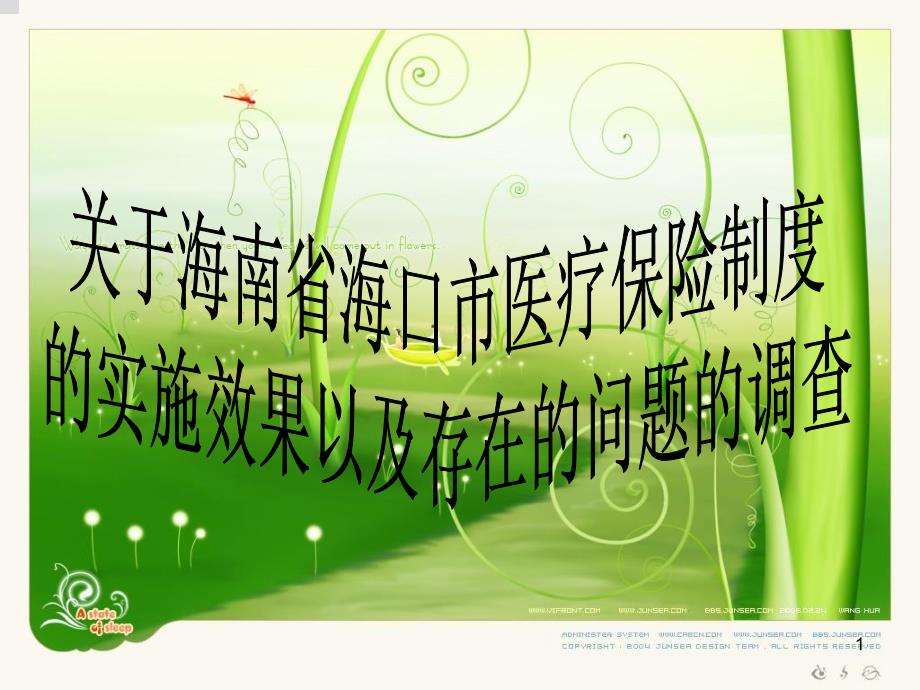 关于海南省海口市医疗保险制度实施的情况的调查及研究PPT课件_第1页