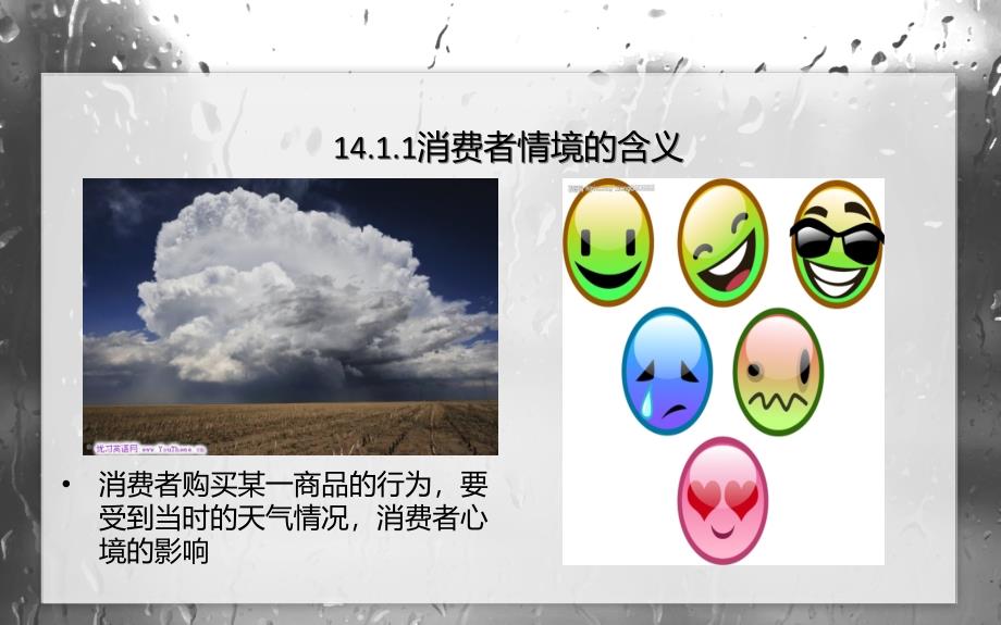 情境因素与消费者行为学解析课件_第3页